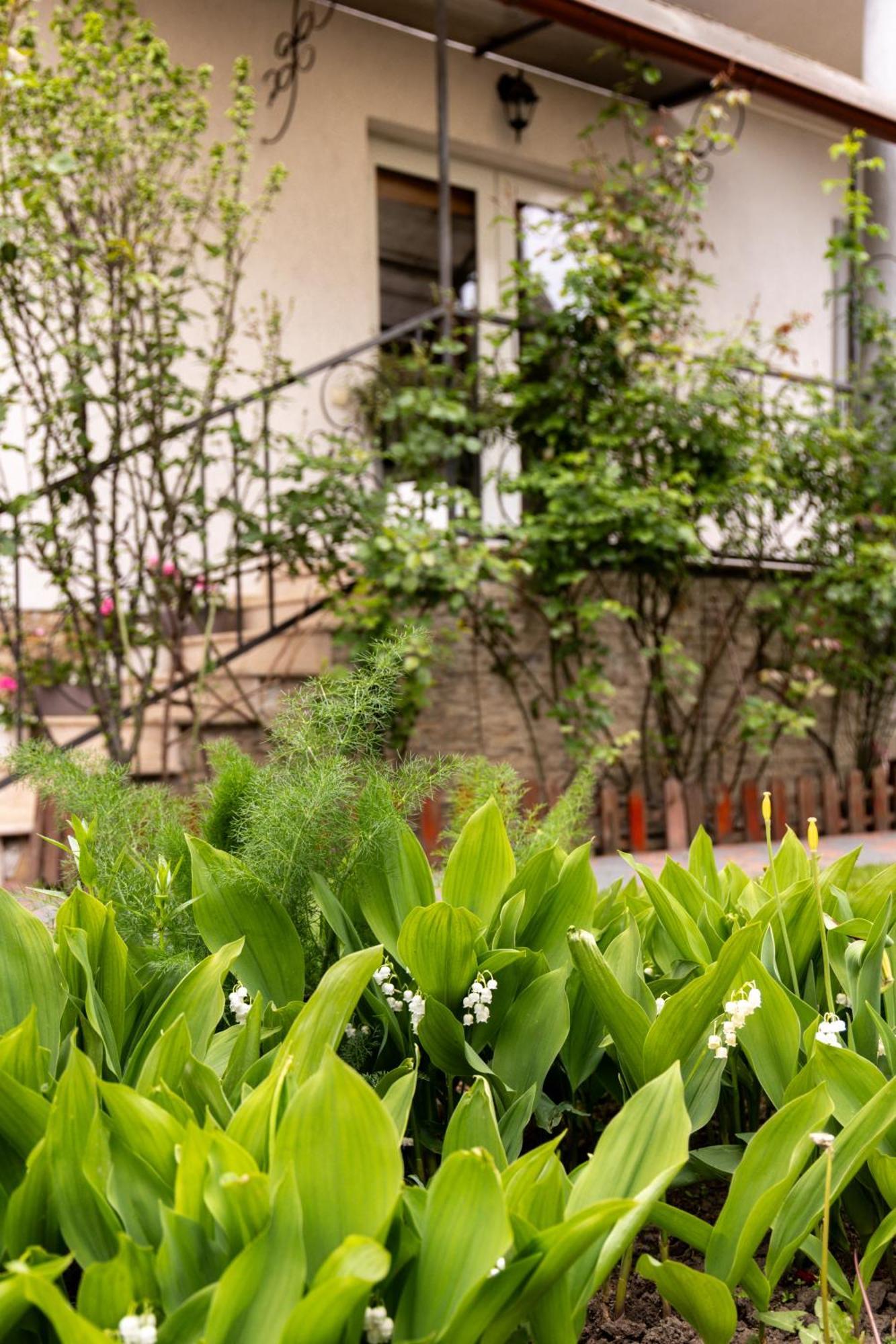 Green Garden Avrig Luaran gambar